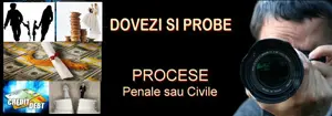 Servicii persoane fizice - CIDP - Ormenisan Daniel - Dovezi si probe in procese penale si civile