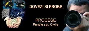 Servicii persoane juridice - CIDP - Ormenisan Daniel - Dovezi si probe in procese penale si civile